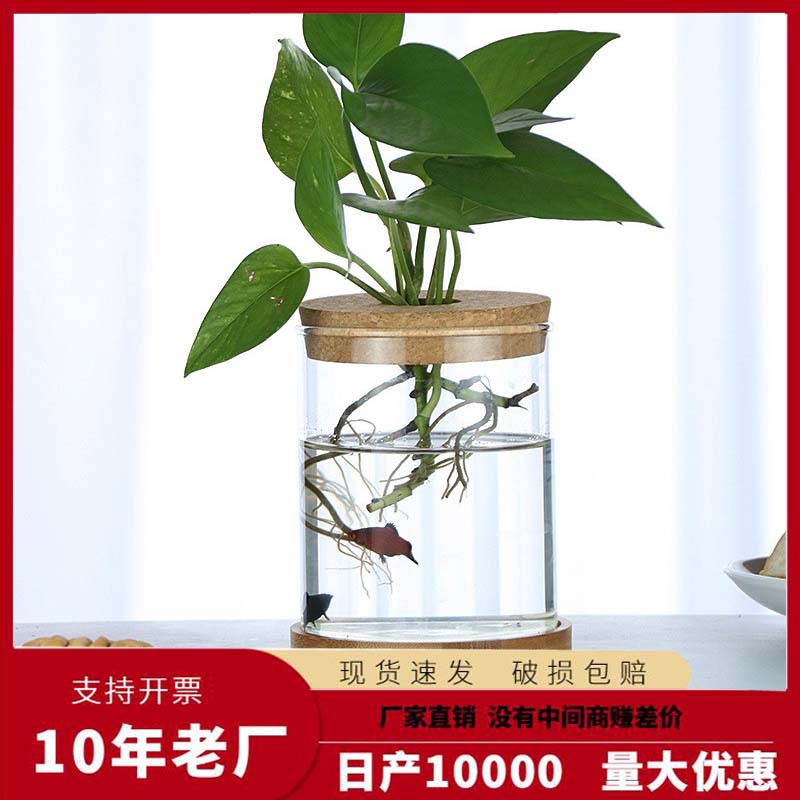Популярная креативная бревенчатая ваза прозрачное стекло украшения для цветочной композиции в гостиной гидропонный потос настольный экологический аквариум