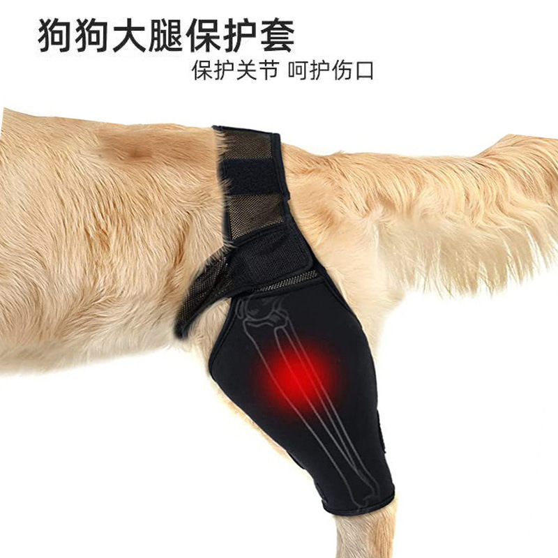 Hot Selling Dog Leg Injury Support Front and Rear Leg Protective Cover Adjustable Support Dog Thigh Postoperative Protective Cover Knee Pad