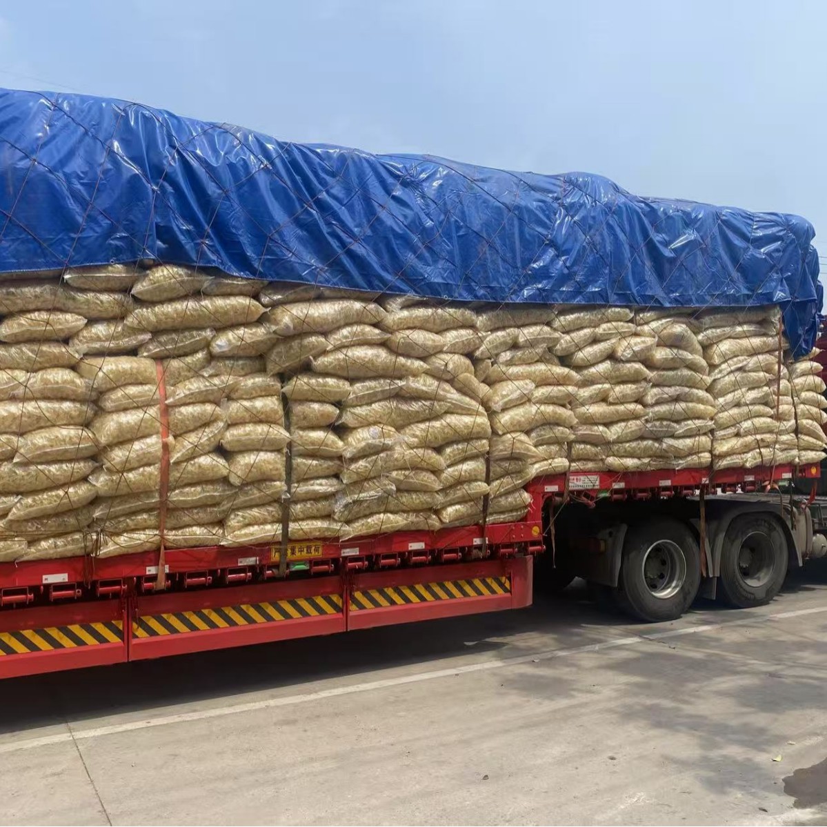 Running Around the Market, Running the Exhibition, Early Market Cold Noodles, Cold Noodles, Fried Yam Noodles, Yam Cold Noodles
