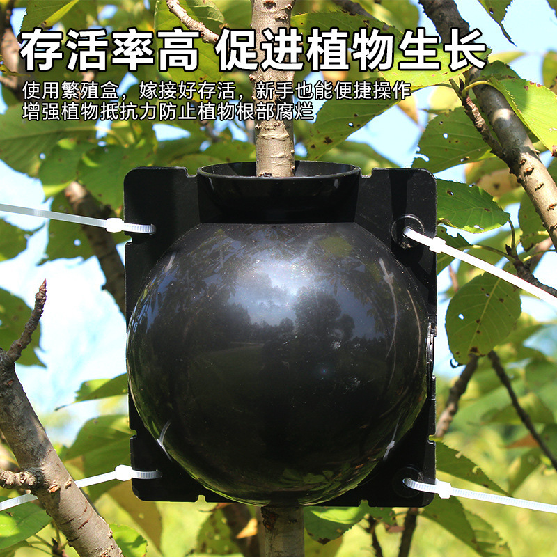 Plant high-pressure propagation box rooting device trees high-altitude press propagation device breeding ball horticultural grafting propagation box
