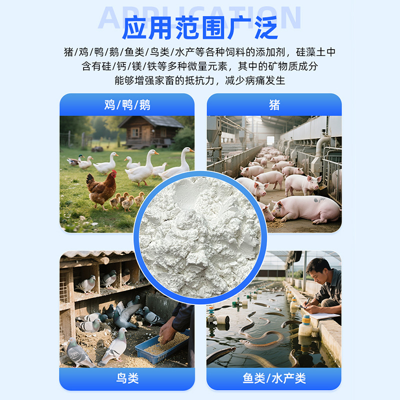 Aquaculture Fish Feed Diatomaceous Earth Mycotoxin Adsorption Feed Additive Diatomaceous Earth Manufacturer