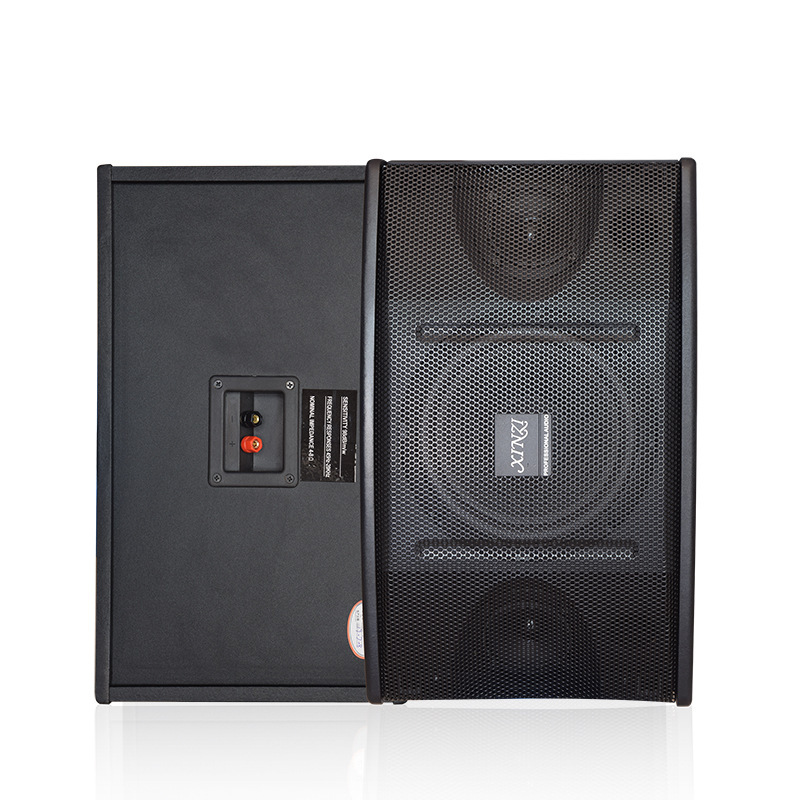 Family KTV high-power card speaker 8 inch 10 inch multimedia fitness conference dance room background audio wholesale