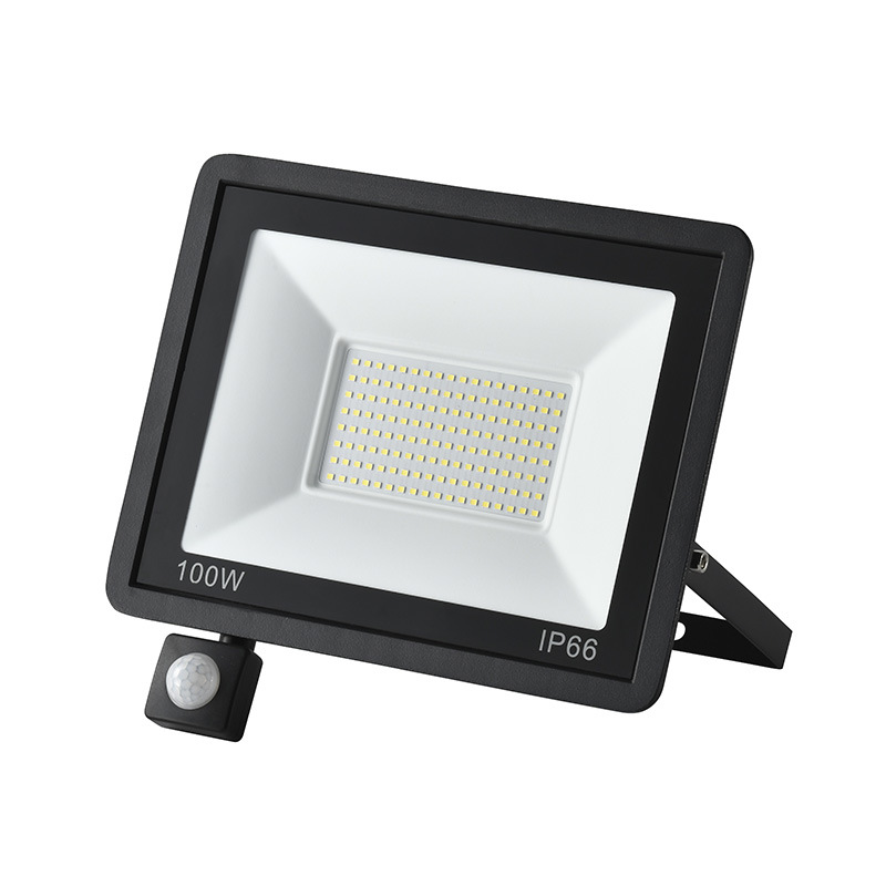 Cross-Border Led Floodlight Small Apple Human Body Sensor Infrared Sensor Floodlight Ultra-Thin Floodlight