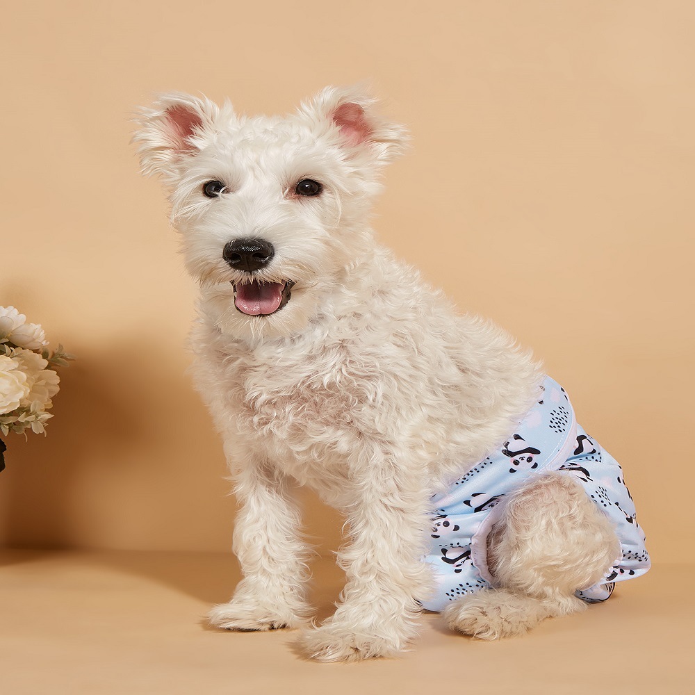 Source factory pet physiological pants anti-harassment safety pants menstrual pants dog pet diapers bitch physiological pants