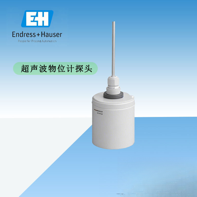 E+H Endresshaus Fdu92-Rg2A Ultrasonic Level Meter Probe Transmitter Liquid 20m Solid 10m