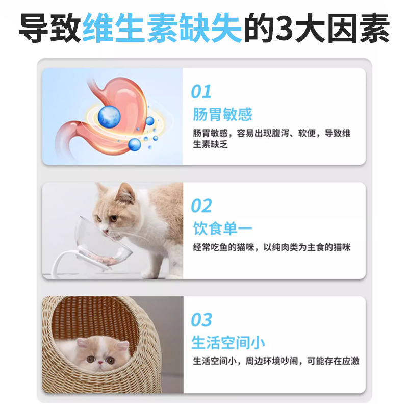 English Version of Cat Multivitamin Dog Nutrition Paste Pet-Specific Multivitamin B Cat Anti-Hair Loss