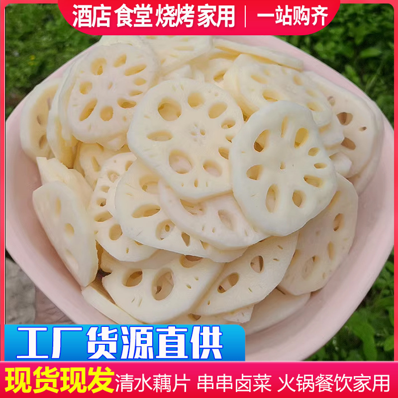 Clear Water Lotus Root Slices 5kg Hot Pot Malatang Fresh Crispy Lotus Root Slices Oden Skewers Cold Salad Commercial Ingredients