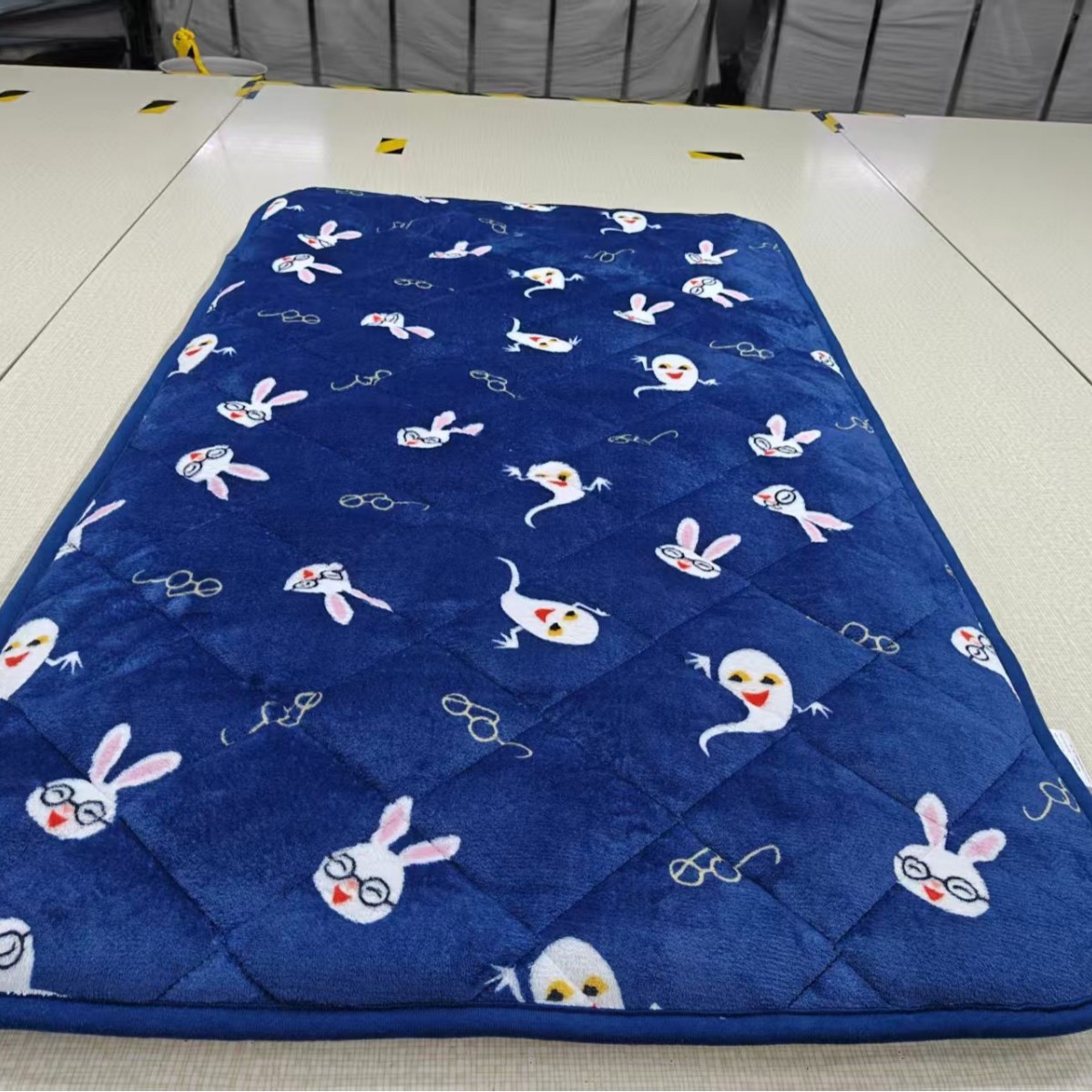 2025 New Winter Cartoon Printed Milk Velvet Mattress Protector Mattress Pad