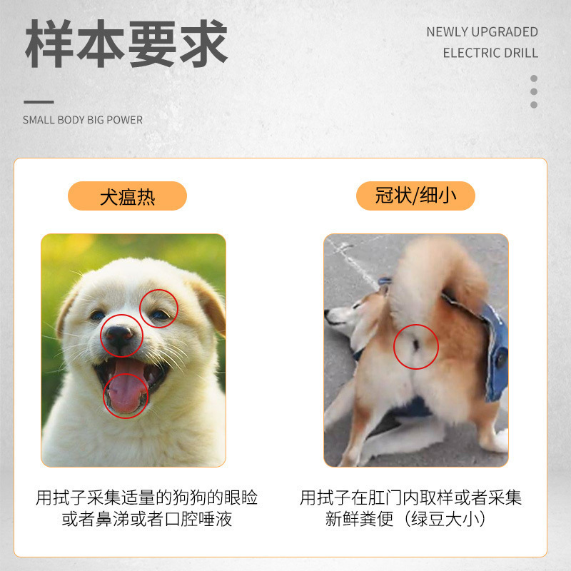 Small Canine Distemper Test Paper Dog Corona Test Paper Pet Three-In-One Canine Distemper Vaccine Test Card Antibody Wholesale