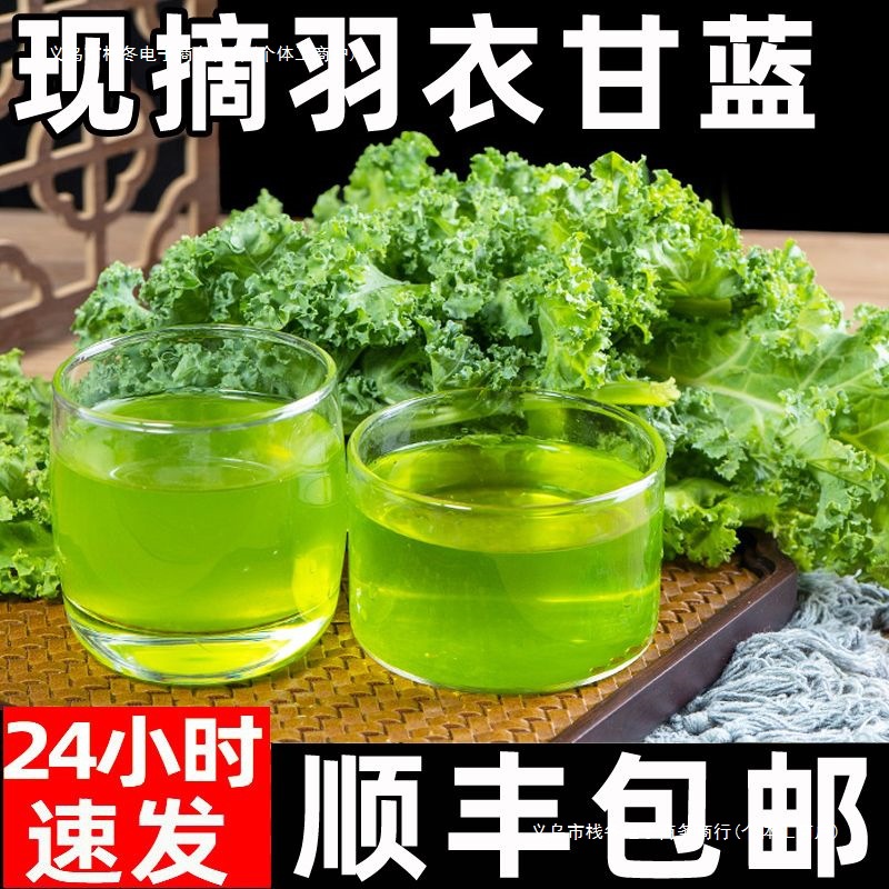 Fresh Kale Vegetables for Consumption, Sf Express Free Shipping, Juicing, Roasted Slices, Fitness Light Meal, Western Salad, Vegetable Sprouts