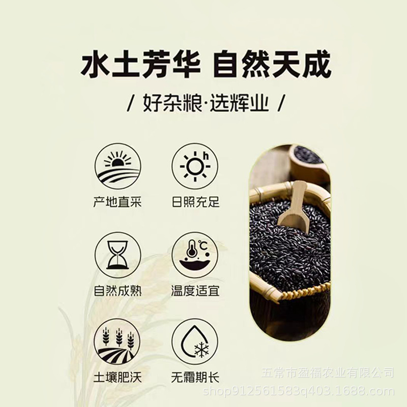【Country Fields】25-Year-Old New Rice Northeastern Wuchang Black Rice Vacuum-Packed Grains Wholesale 2.5kg