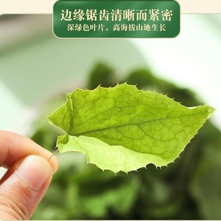 500g of Genuine Wild Epimedium Leaves Chinese Herbal Medicine Soaked in Wine for Men to Make Tea and Drink to Nourish the Liver and Kidneys