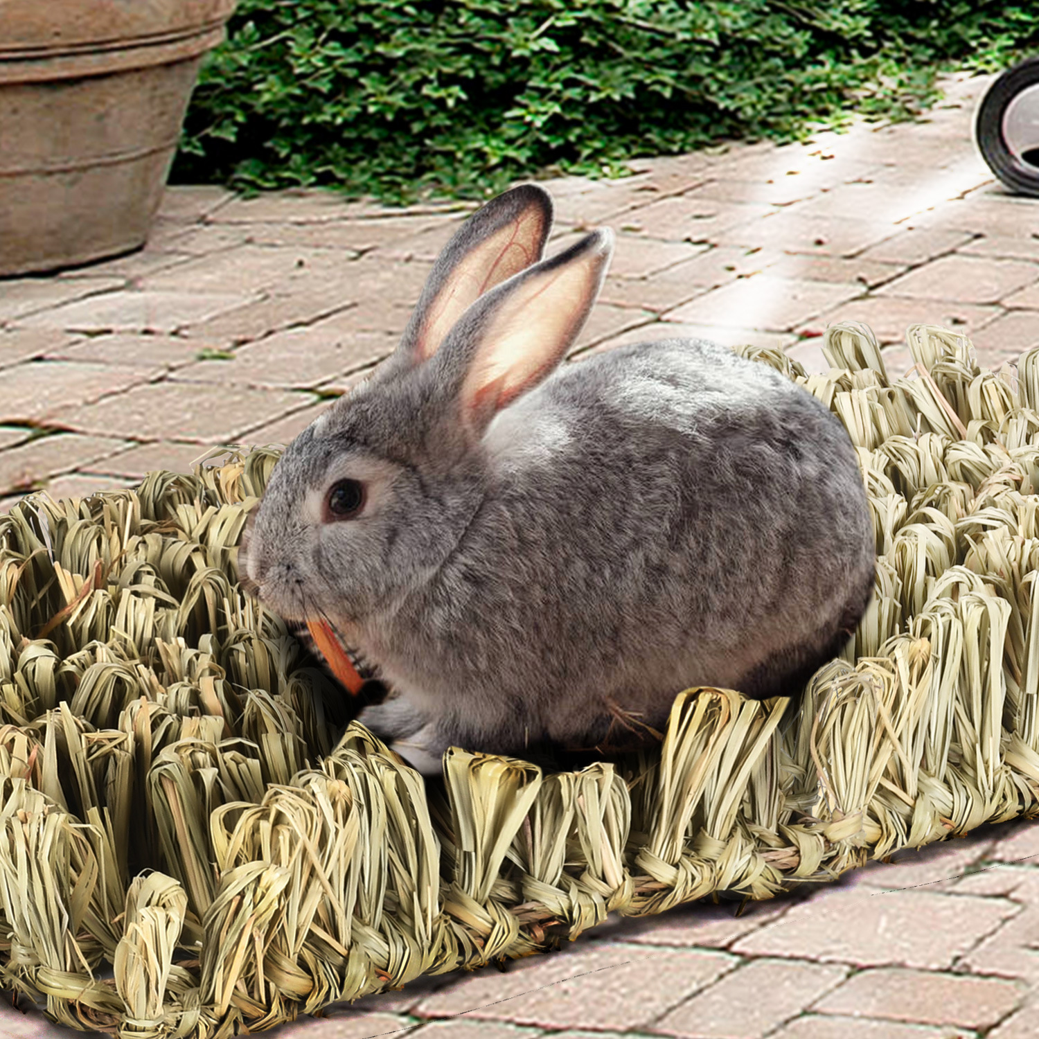 Натуральный ветер различный питомец соломенный симулятор Туссет съедобный Тоторо кролик молярный Тимофеевка травяной коврик