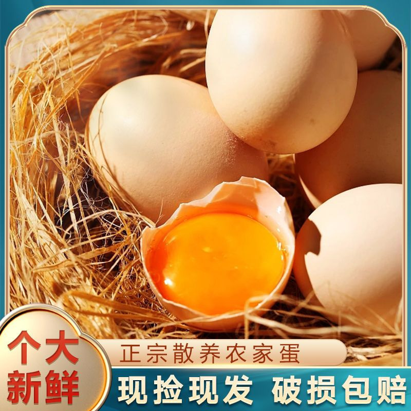 [Damage Guaranteed] Farmhouse Free-Range Eggs, Nutritious and Fresh Cordyceps Confinement Eggs, Farmhouse Free-Range Eggs