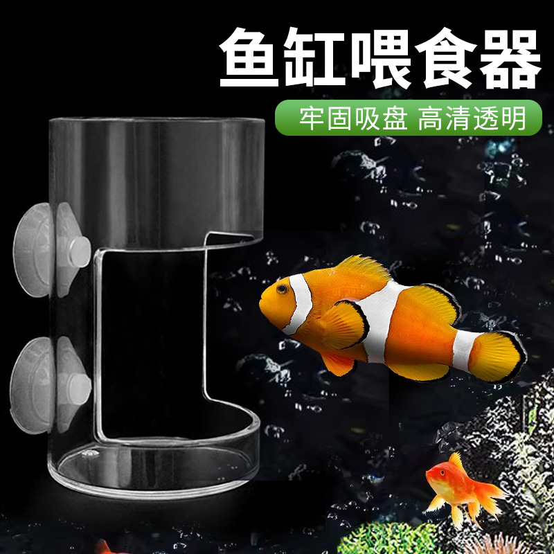 Parrot fish tank fish feeder fish food floating feeding ring suspended fish food feeding ring koi aquarium full platform generation