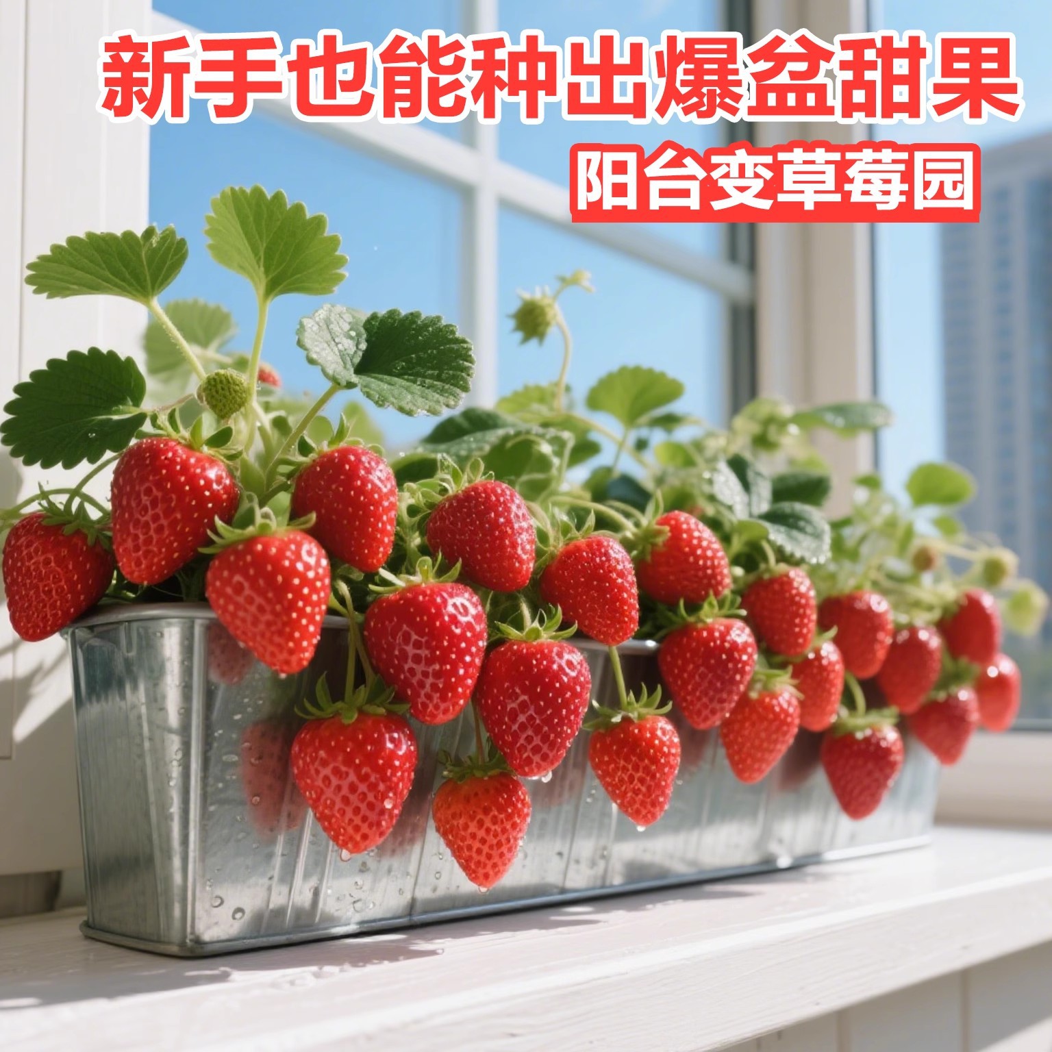 Четырехсезонные саженцы клубники, кремово-красные саженцы клубники, саженцы клубники для тепличной посадки, новые саженцы с землей, фруктовые саженцы в тот же год