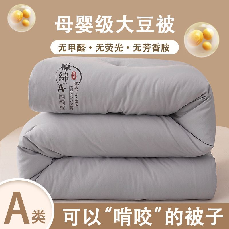 Class a Maternal and Infant-Grade Thickened Soybean Cotton Quilt for Spring and Autumn, Student Double Dormitory Gift Wholesale Winter Quilt Duvet Cover