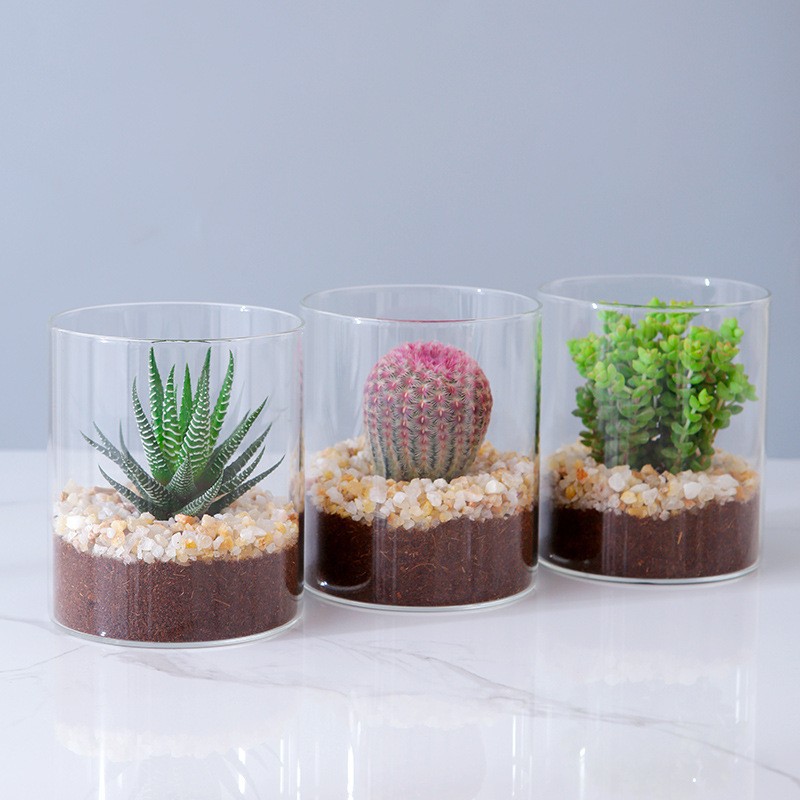 Ваза для гидропонных растений из высокобorosilicate стекла, настольный горшок для цветов, прямая художественная ваза для цветочной композиции, моховая экологическая бутылка