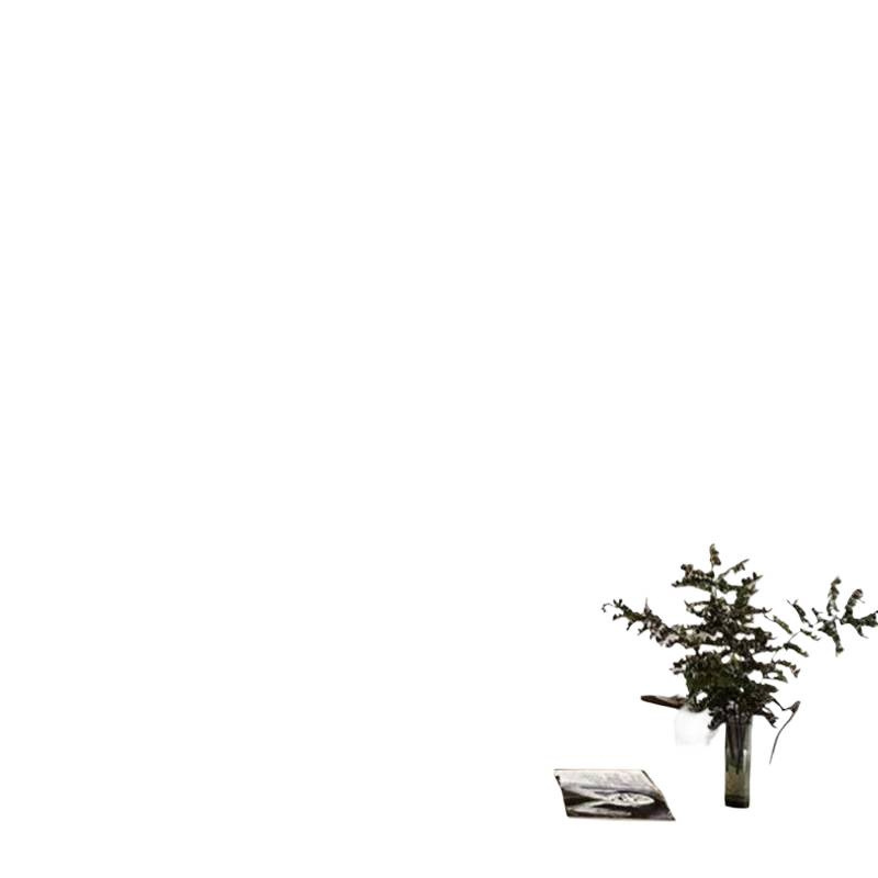 Full Spectrum Deep Cup Anti-Glare Cob Hill Spotlight Flower Lamp Home Living Room Wall Washer Led Downlight Embedded Without Main Light