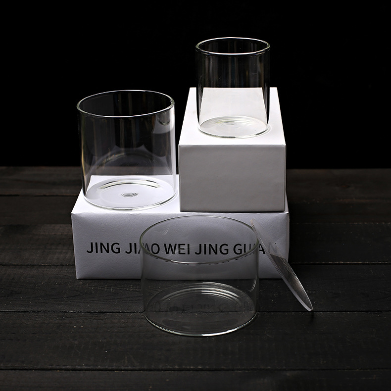 Mini Straight Bottle with Acrylic Lid Moss Micro Landscape Eco Glass Bottle High Transparent Vase Container Dish