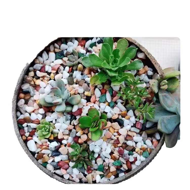Colorful Stone Succulent Potted Plant Substrate for Fish Tank Landscaping, Bottom Sand for Planting Flowers, Special for Fish Tank Decoration