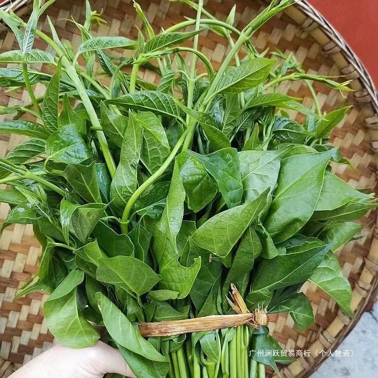 Специальное блюдо Дай из Юньнани Паксиу, свежие и вкусные дикие овощи, суп с вареными яйцами, суп с овощами, бесплатная доставка