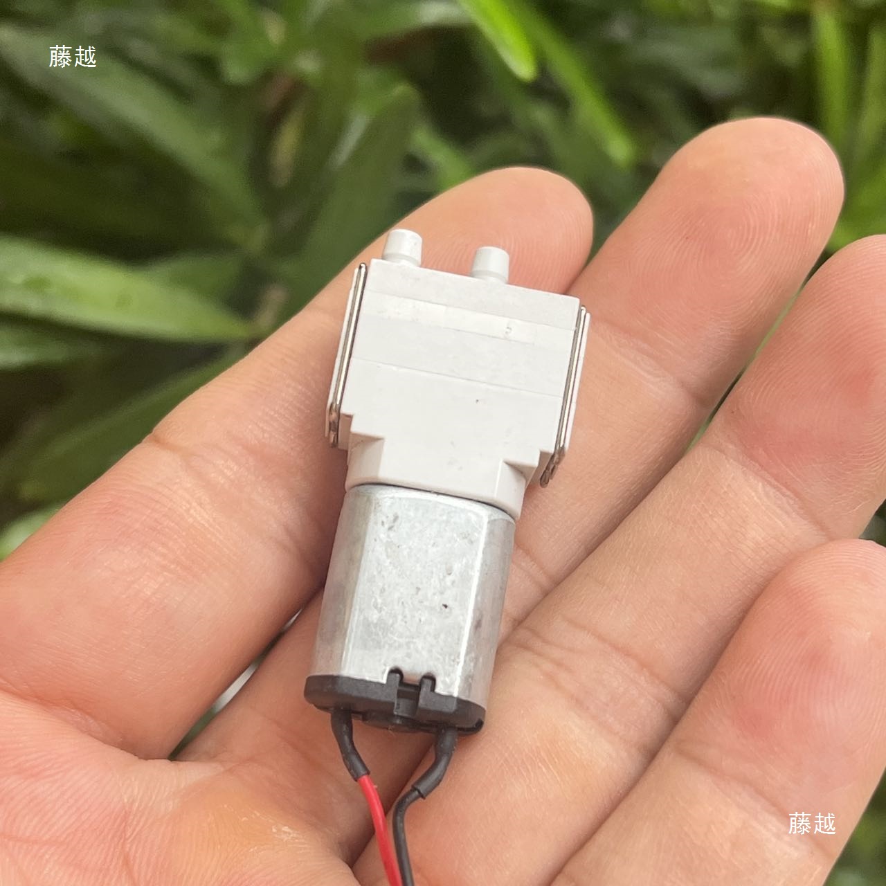 Cjwp12 Dc Dc3V-5V Mini Self-Priming Liquid Pump 030 Motor Micro Diaphragm Water Pump with Check Valve