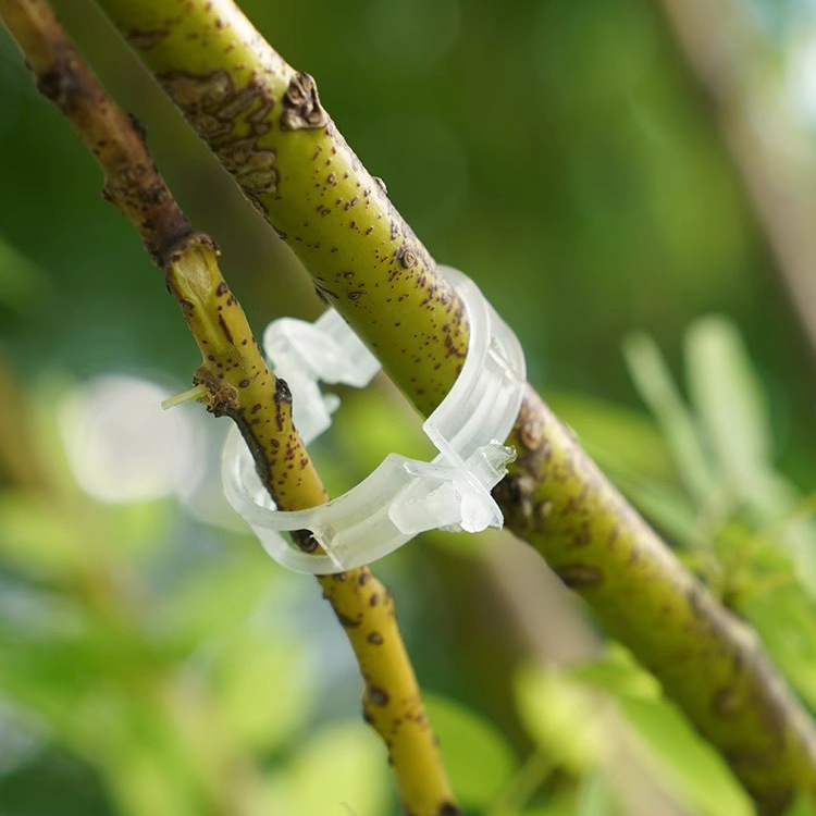 Plant Clips, Vine Clips, Plastic Vine Clips, Branch Clips, Vine Clips, Vine Support Clips, Vine Fixing Clips Wholesale