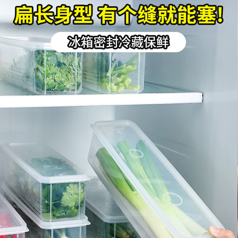 Scallion Ginger Garlic Scallion Noodles Storage Box Long Square Noodles Preservation Box Food Grade Food Sealed Plastic Box