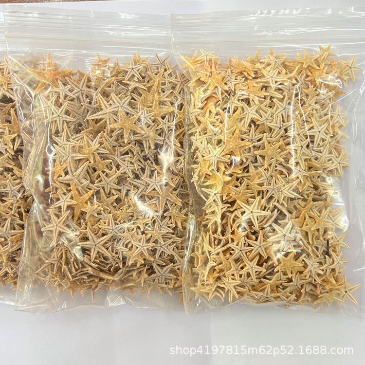 Spot wholesale mini starfish DIY handmade decorative materials jewelry accessories crystal drop glue fish tank landscaping starfish