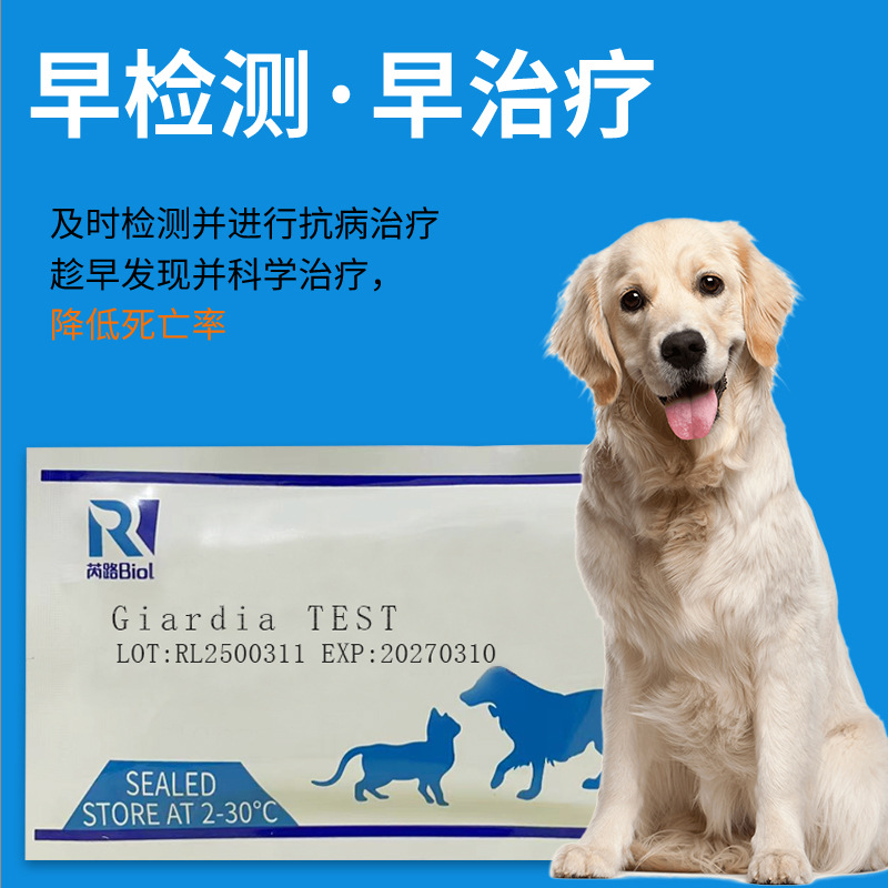 Cross-Border Hot Selling Pet Test Paper Amazon Aliexpress Dog Cat Jia Dawhip Caterpillar Giardia Test Paper Card