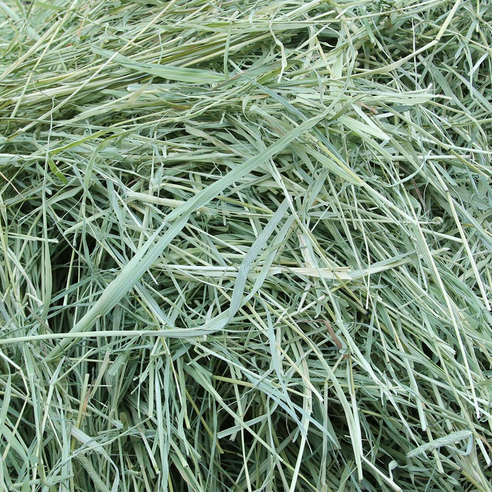 Free Shipping Sun-Dried Timothy Grass Dried Timothy Grass Rabbit Grass Chinchilla Guinea Pig Timothy Grass Segments