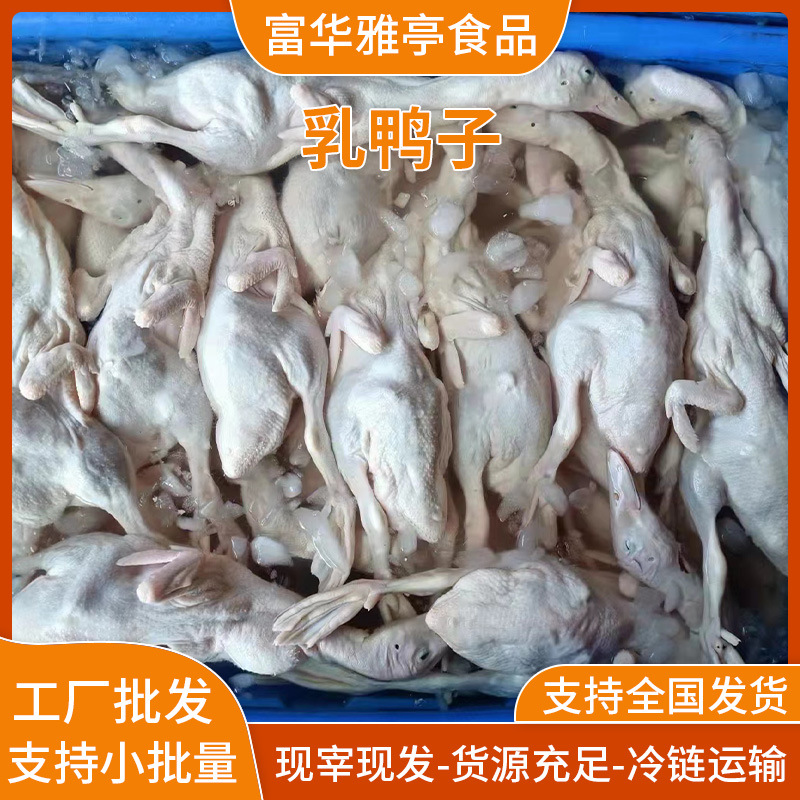 Freshly Slaughtered Duck, Braised Duck, Roasted Duck, Restaurant, Roasted Duck Farm, Free-Range Duck, Catering Supply Wholesale