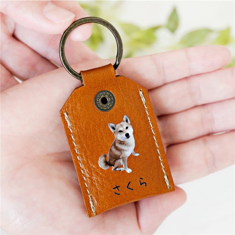 in stock pet hair keychain square transparent cat and dog hair storage key pendant pet souvenir