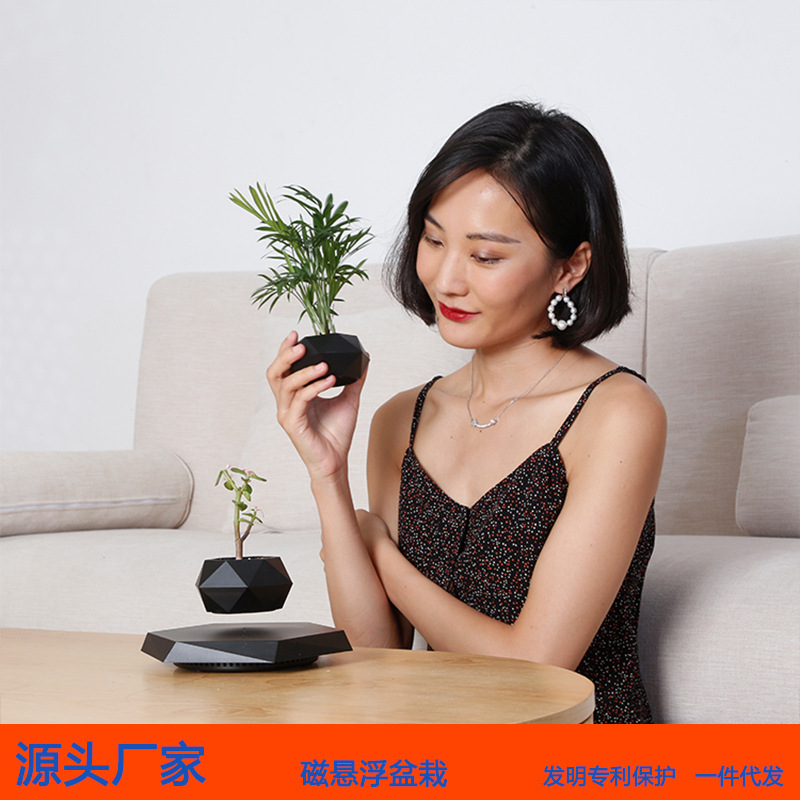 Magnetic Levitation Bonsai, Creative Aerial Plants and Flowers, Unique Style, Home Office Decorations, Cross-Border Green Plants