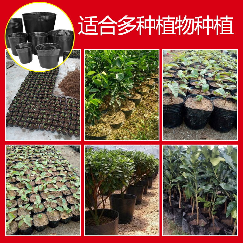 Home Gardening Planting Plastic Special-Shaped Nutrient Pots Black Seedling Pots Disposable Garden Flower Nutrient Cups Bonsai