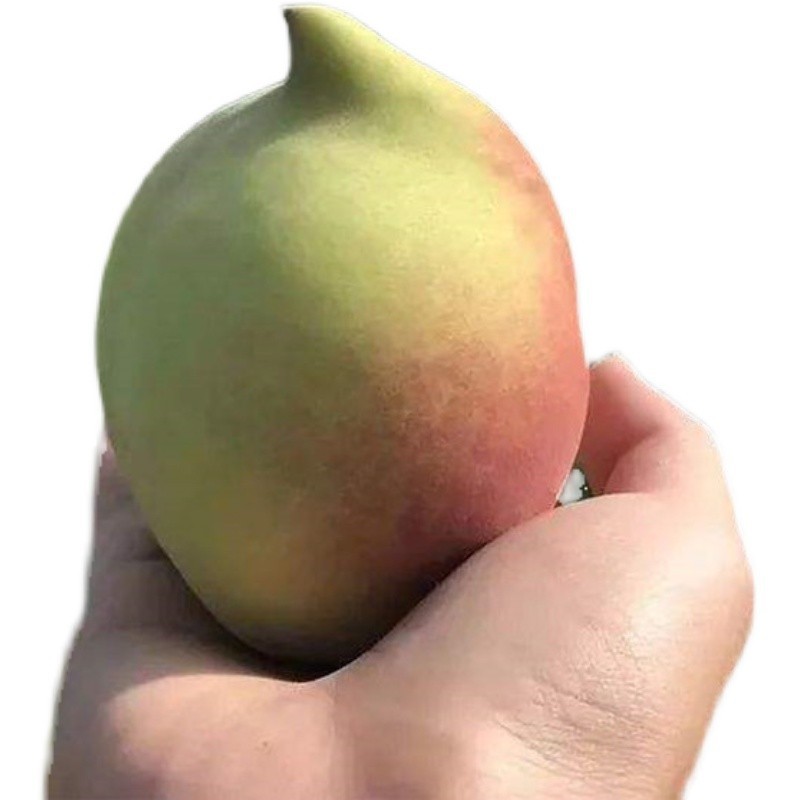 Eagle-Beak Peach Tree Seedlings, Crisp and Sweet Peach Saplings, Peach Tree Grafted Seedlings, Extra-Large Fruit Tree Seedlings Planted in the South and North