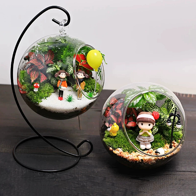 Экологическая бутылка для микроландшафта, креативное кашпо для мха и суккулентов, прозрачная стеклянная ваза, подвесная бутылка