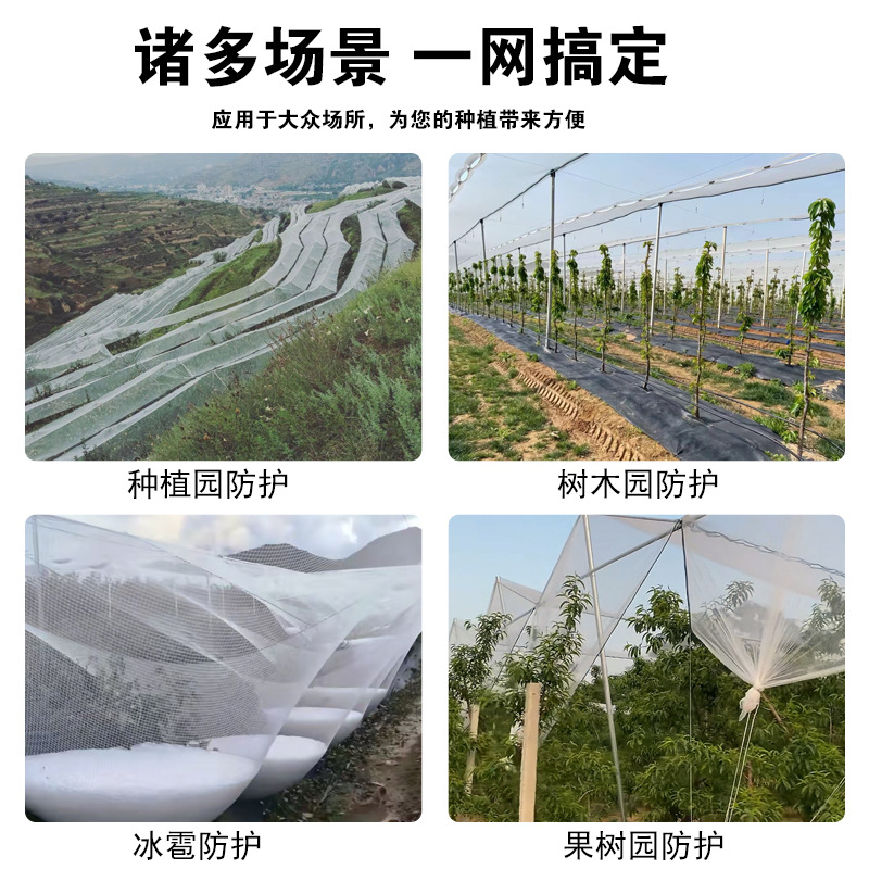 Anti-Hail Net, Orchard Protection Net, Fruit Tree Anti-Bird Net, Protective Net, Durable, Direct from Manufacturer, Outdoor Use
