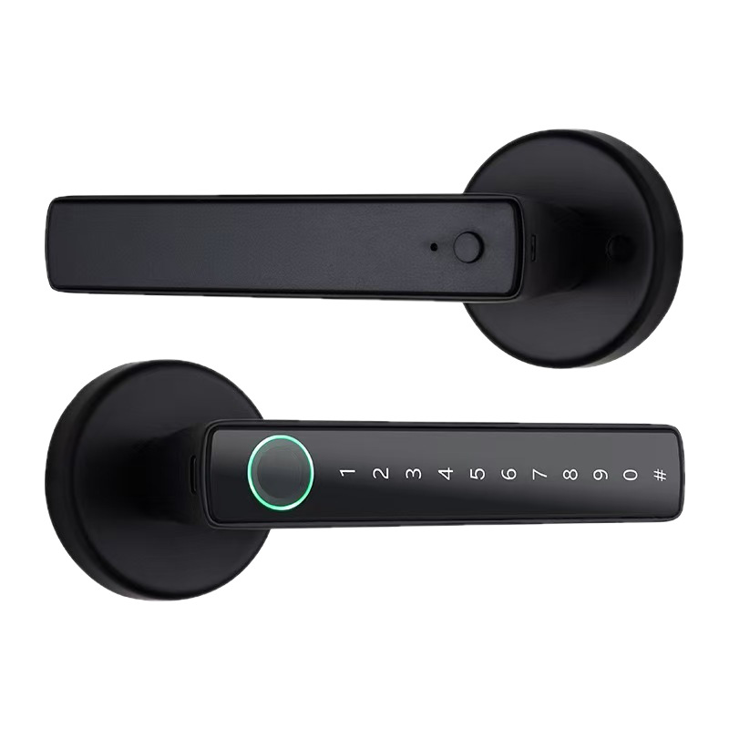 Cross-Border Exclusive Supply of Electronic Smart Locks, Graffiti Smart Door Locks, Replacement for Ball Locks, Indoor Door Handles, Fingerprint Locks, Combination Locks