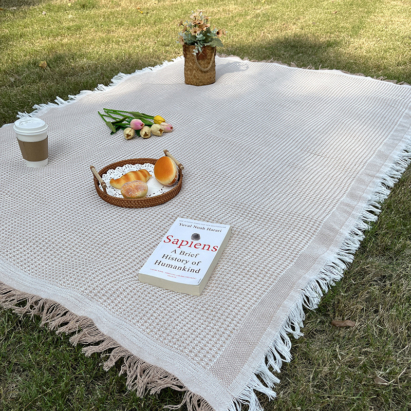 Camping blanket outdoor lawn mat camping equipment egg roll tablecloth nap blanket cross-border tent moisture-proof picnic mat