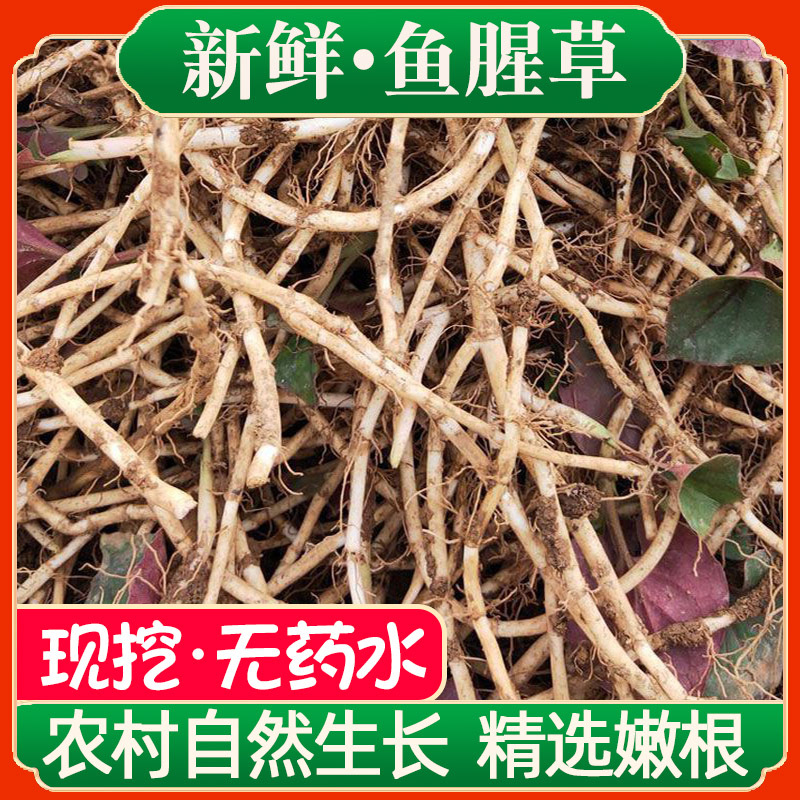 Свежевыкопанная кордиата с землей, свежие и нежные корни, корни сложного уха, без мытья, отобраны из Хубэя, Сычуани и Гуйчжоу, произведены в холодных блюдах