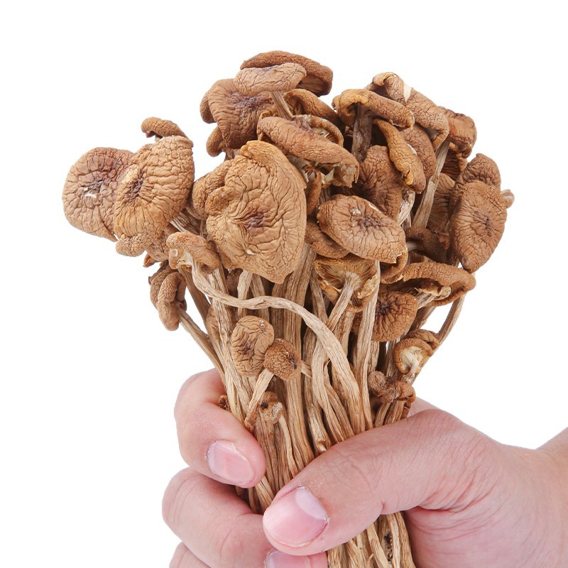 Dried Tea Tree Mushrooms, Farm Specialty New Goods, Dried Shiitake Mushrooms, Specialty Tea New Mushrooms, Household Soup Wholesale in Bulk