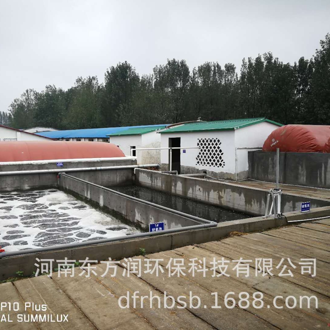 Biogas Engineering/Equipment