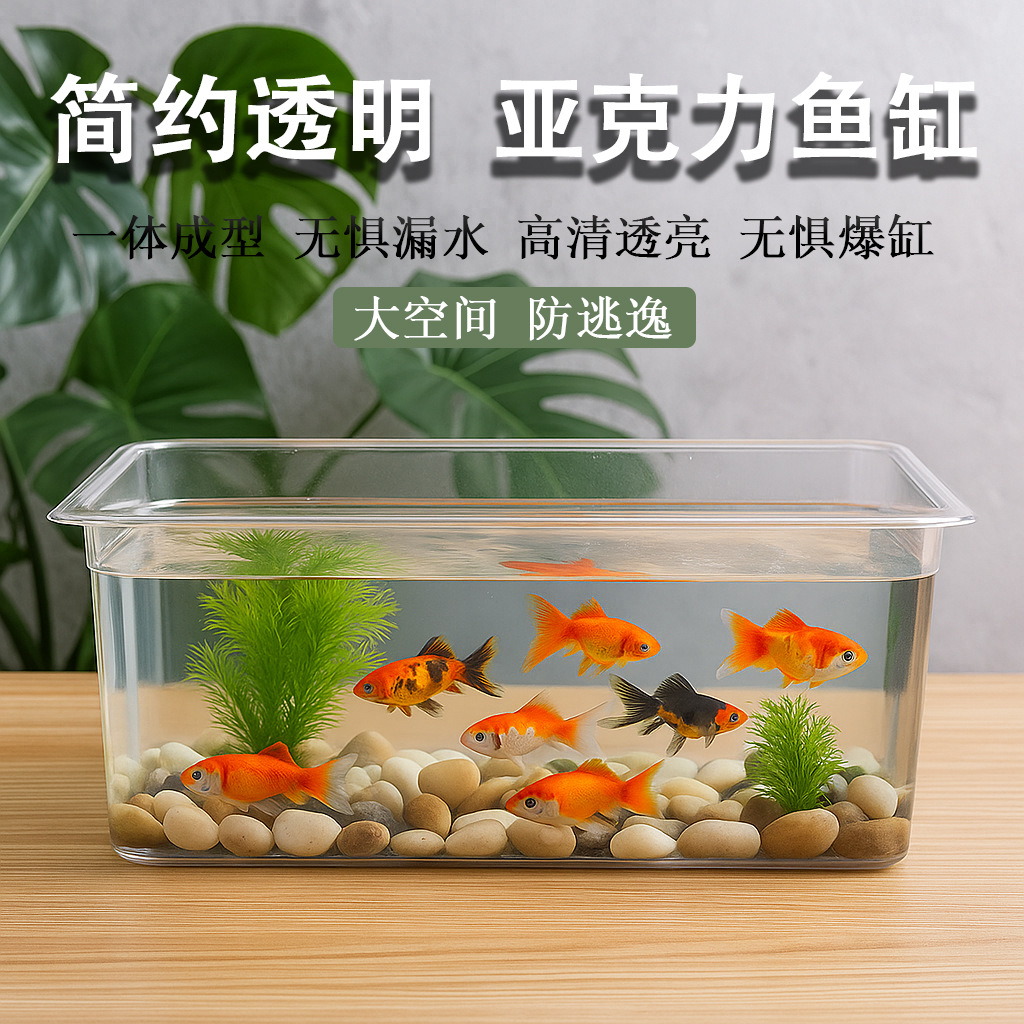 Thickened Pet Fish Tank, Square Plastic, Drop-Resistant Aquarium, Acrylic Desktop Landscaping Ecological Tank, Transparent Turtle Tank