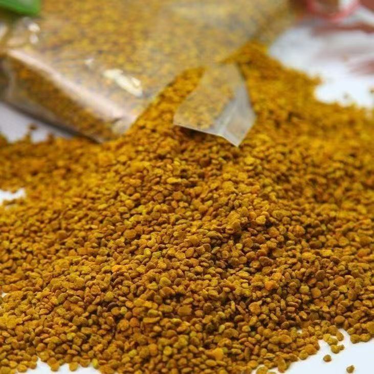 Natural Bee Pollen, 500 Grams of Gallnut Pollen, Collected by Bees, No Additives, Non-Wall-Breaking Particles, Complete Without Powder