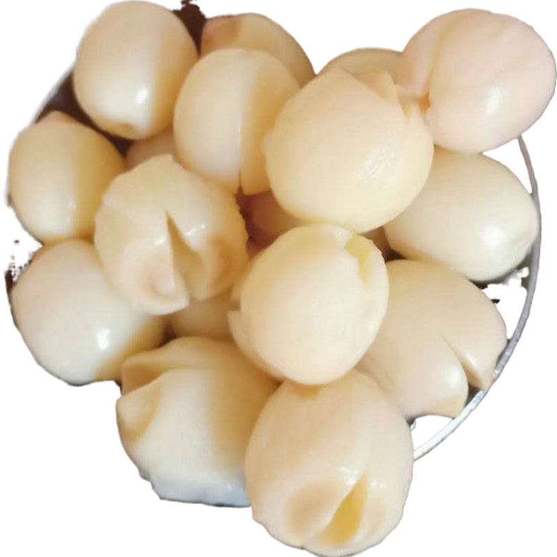 Aa Grade Fujian Jianning Lotus Seeds White Lotus Seeds 500g One Piece Wholesale Dry Goods