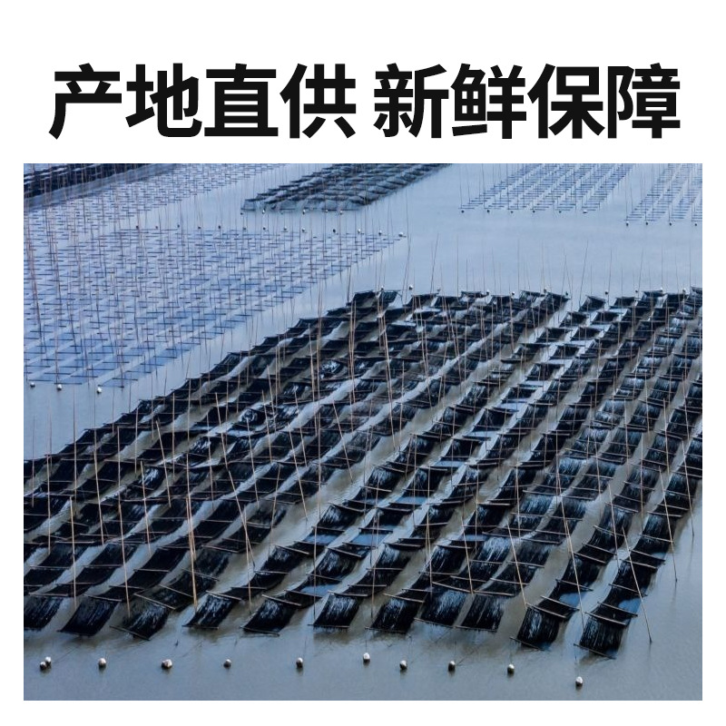 Dried Seaweed 10g Young Sprouts Seaweed Without Additives or Salt Seafood No-Wash Seaweed Individually Packaged Seaweed Bulk Goods