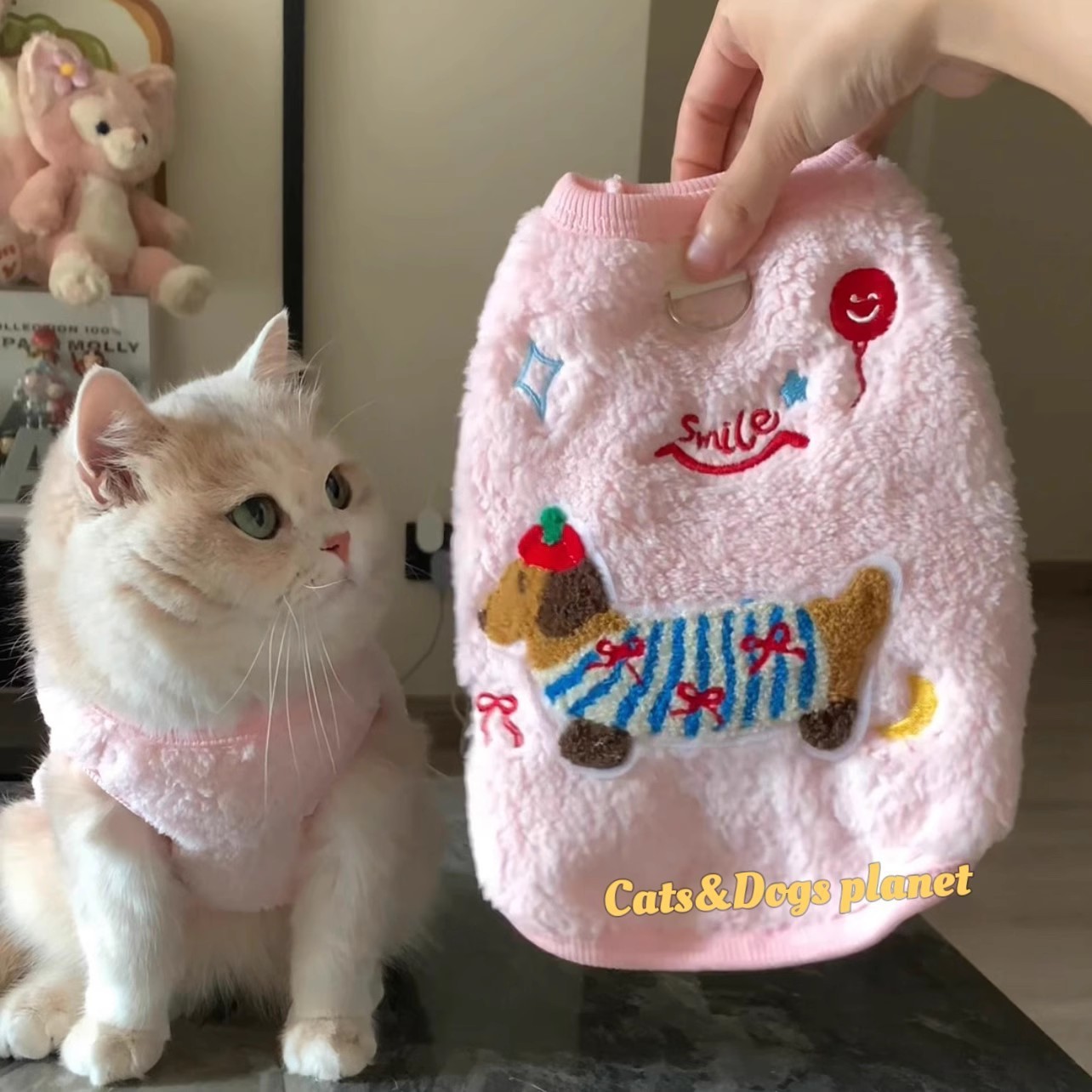 Pet Cat Clothes Autumn and Winter Cotton Clothes Ragdoll Gold Gradient Blue Cat Kitten Cute Fleece-Lined Warm Vest Winter Clothes