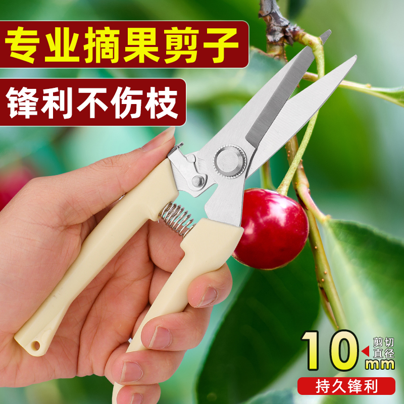 gardening shears pruning shears flower shears garden shears flower shears branches fruit tree scissors branch shears pruning flower shears